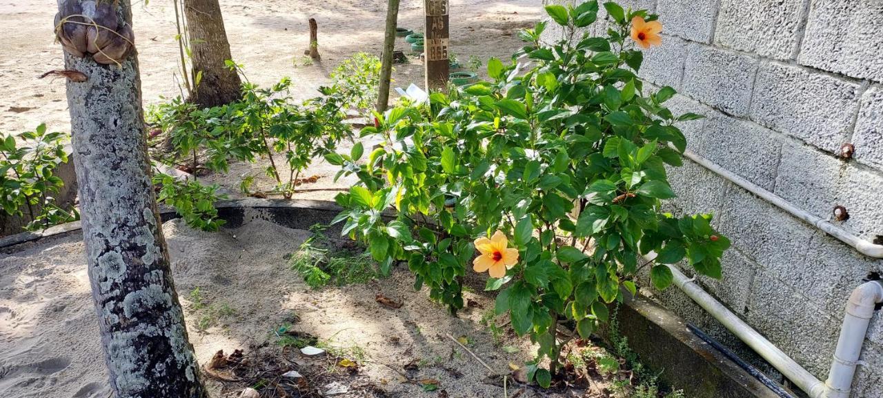 ماراريكولام Marari Anna Beach Villa المظهر الخارجي الصورة