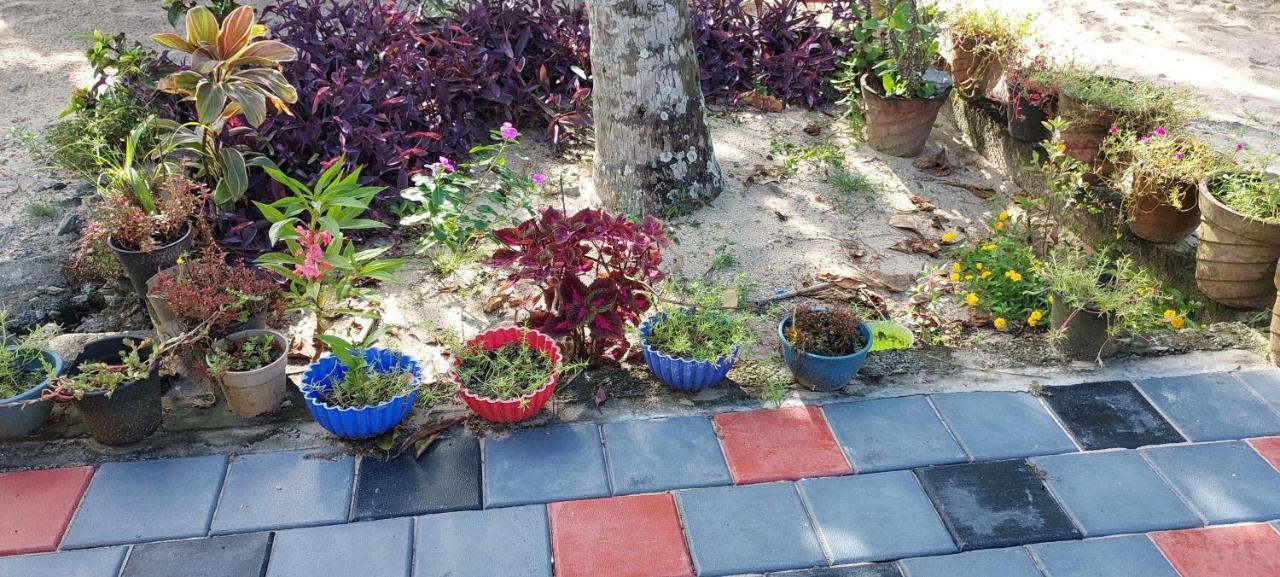 ماراريكولام Marari Anna Beach Villa المظهر الخارجي الصورة