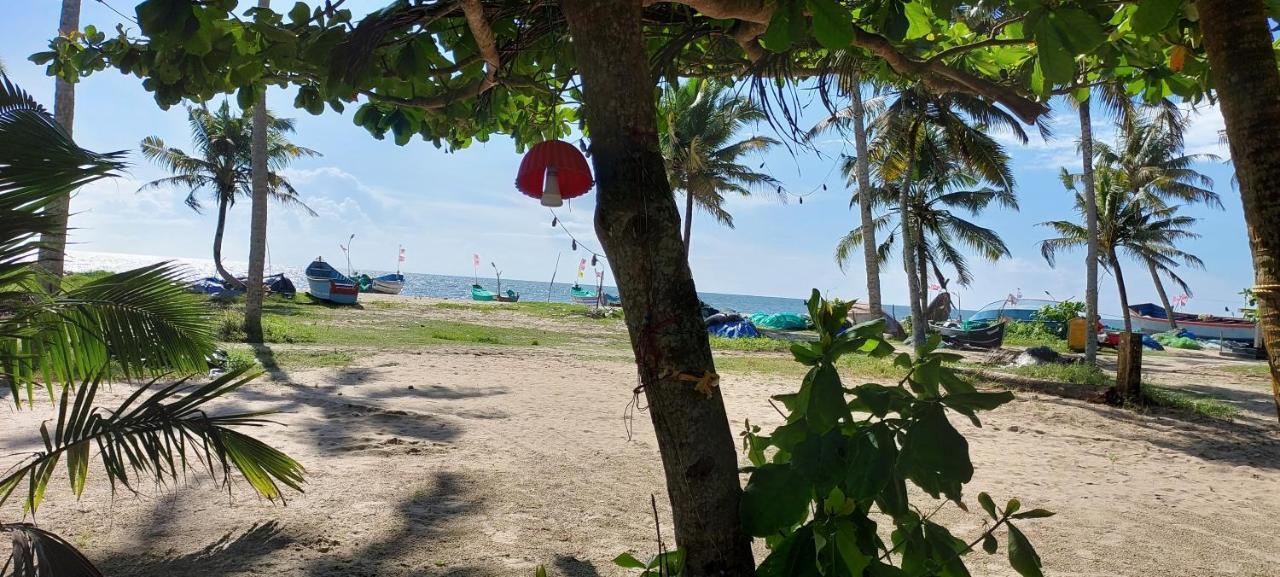 ماراريكولام Marari Anna Beach Villa المظهر الخارجي الصورة