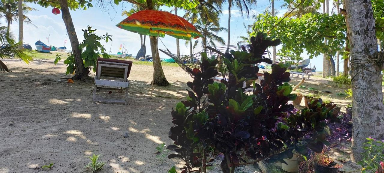 ماراريكولام Marari Anna Beach Villa المظهر الخارجي الصورة